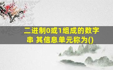 二进制0或1组成的数字串 其信息单元称为()